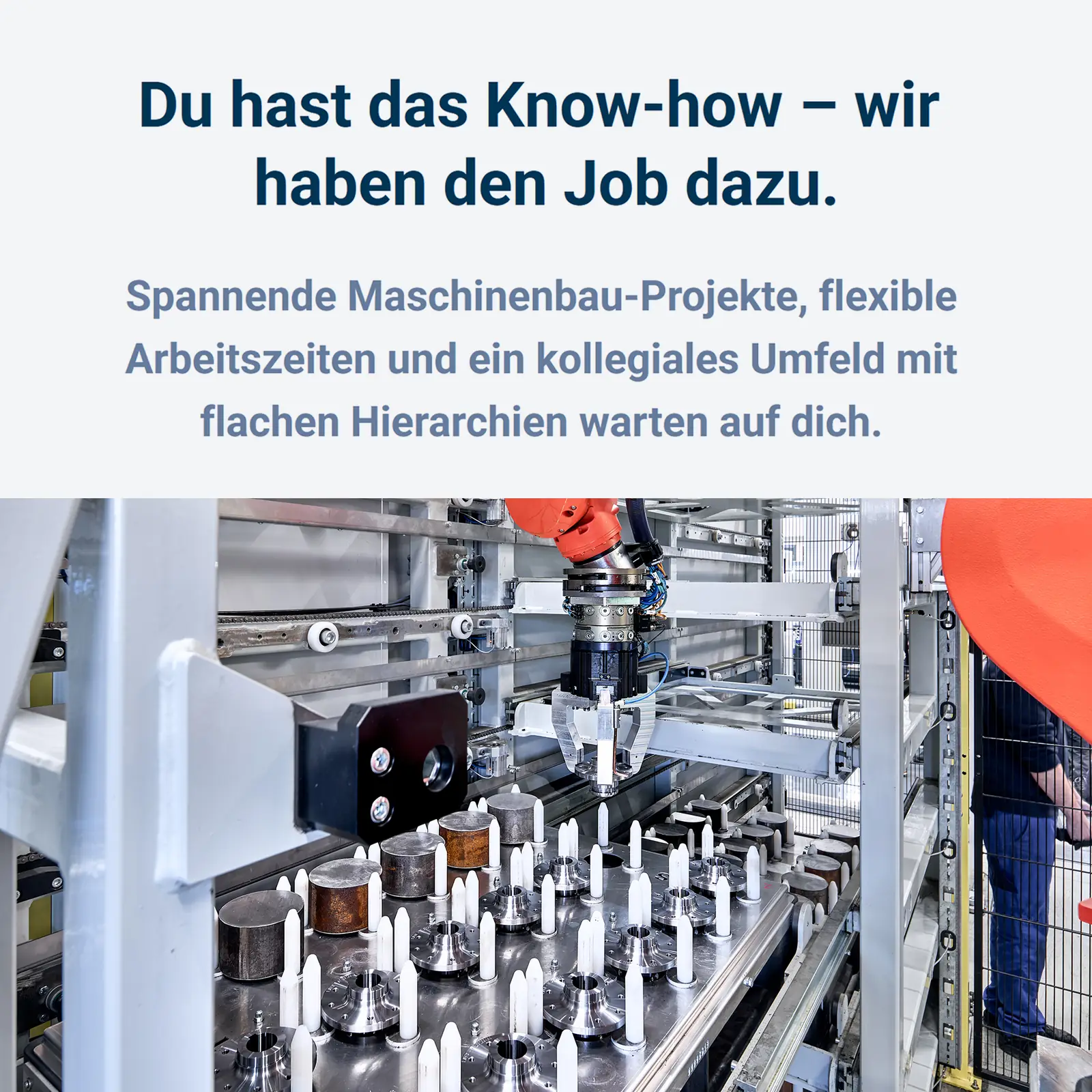 Job vacancies in August