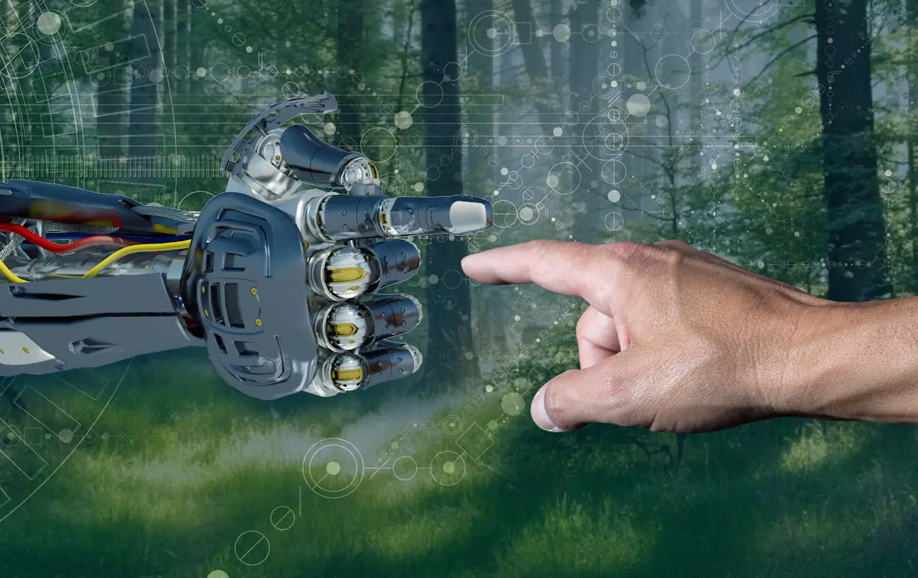 Innovation and sustainability hand in hand